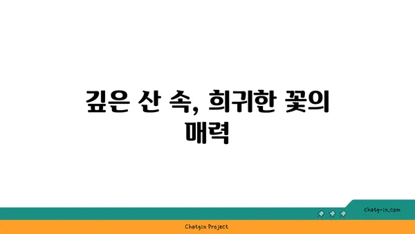 광릉요강꽃의 매력에 빠지다| 멸종위기종, 아름다움과 보존의 가치 | 야생화, 희귀식물, 자생식물, 생태 보존