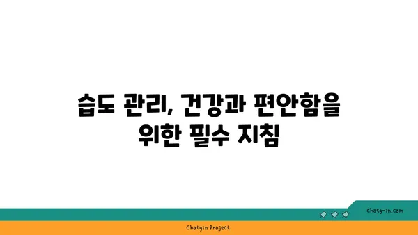 편안함의 온실| 최적 상대습도가 인간에게 미치는 영향 | 쾌적함, 건강, 습도 관리, 실내 환경