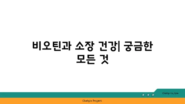 비오틴이 소장 건강에 미치는 영향| 섭취와 효능 | 비타민, 장 건강, 소화