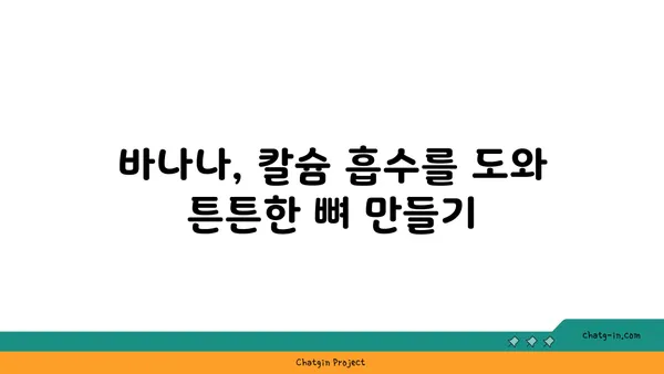 바나나, 골 건강을 위한 놀라운 선택! | 바나나 효능, 골다공증 예방, 칼슘 흡수