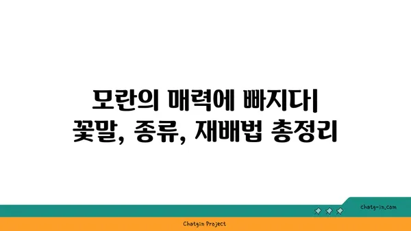 모란의 매력에 빠지다| 꽃말, 종류, 재배법 총정리 | 모란꽃, 작약, 봄꽃, 정원, 꽃