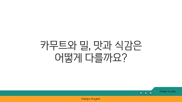 카무트 vs 밀| 건강과 영양, 어떤 차이가 있을까요? | 영양 비교, 건강 효능, 맛 비교, 레시피