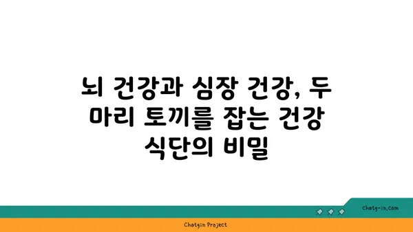 뇌 건강과 심장 건강, 두 마리 토끼를 잡는 5가지 음식 | 인지 쇠퇴 예방, 심혈관 질환 퇴치, 건강 식단