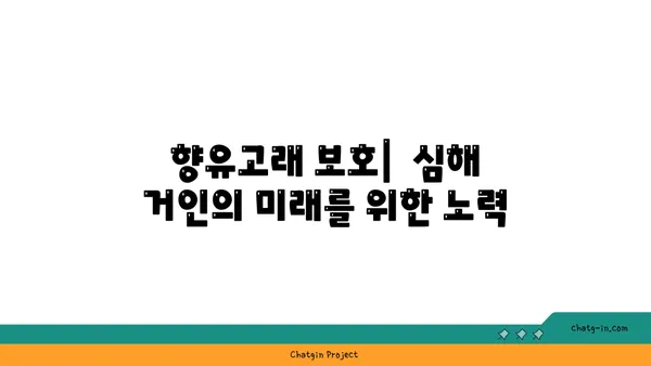 향고래의 비밀| 신비로운 심해 거인의 모든 것 | 고래, 향유고래, 심해 생물, 해양 생태계