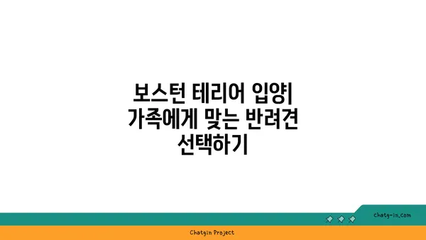 보스턴 테리어 완벽 가이드| 성격, 건강, 훈련, 그리고 더 많은 정보 | 보스턴 테리어, 강아지, 품종, 입양, 관리