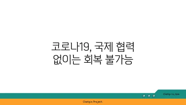 코로나19 대유행 극복을 위한 글로벌 협력| 과제와 전략 | 팬데믹, 국제 협력, 공중 보건, 경제 회복