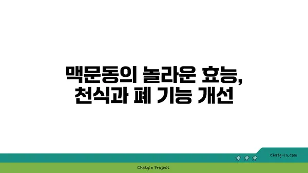 수면 무호흡증 완화에 도움이 될까? 맥문동의 효능과 주의 사항 | 수면장애, 천식, 폐 기능 개선, 부작용