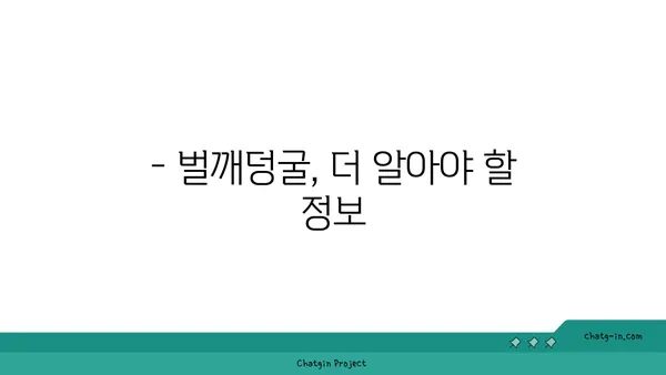 벌깨덩굴 효능과 부작용 완벽 정리 | 약초, 민간요법, 주의사항