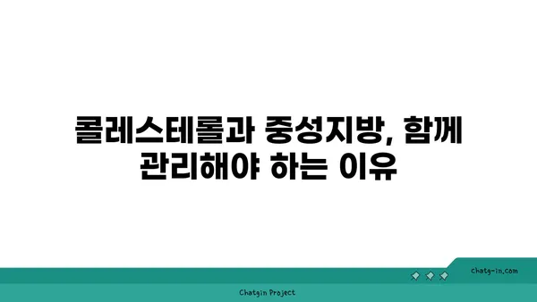 중성지방 낮추는 간단하고 효과적인 7가지 팁 | 건강, 식단, 운동, 콜레스테롤