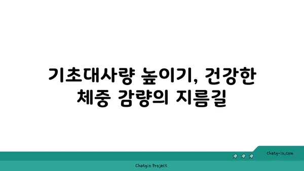 나의 기초대사량 계산 & 증진 방법| 체중 감량, 건강 관리의 시작 | 기초대사량 계산, 기초대사량 높이기, 체중 감량, 건강 관리