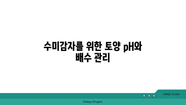 수미감자 최고의 수확을 위한 토양 조건 완벽 가이드 | 수미감자 재배, 토양, 영양 관리, 팁