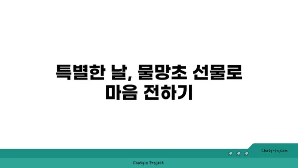 물망초 꽃말과 전설| 잊지 못할 사랑의 의미 | 꽃말, 전설, 의미, 기념, 선물