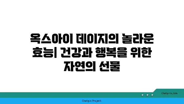 옥스아이 데이지의 놀라운 효능| 건강과 행복을 위한 자연의 선물 | 옥스아이 데이지, 천연 치료, 건강 식품, 자연 요법, 허브