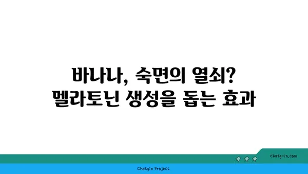 숙면을 위한 달콤한 선택? 바나나 섭취가 숙면에 도움이 되는 3가지 이유 | 바나나, 수면, 멜라토닌, 마그네슘, 트립토판