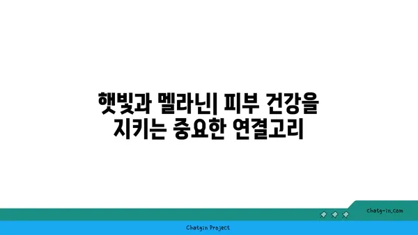 멜라닌의 비밀| 피부색, 머리카락, 눈 색깔의 과학 | 멜라닌, 피부, 색소, 유전, 건강