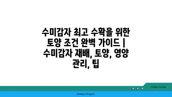 수미감자 최고의 수확을 위한 토양 조건 완벽 가이드 | 수미감자 재배, 토양, 영양 관리, 팁