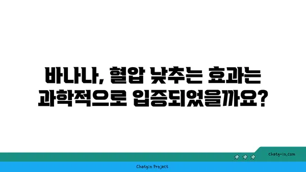 바나나의 혈압 낮추는 효과, 과학적으로 알아보기 | 고혈압, 건강 식단, 영양