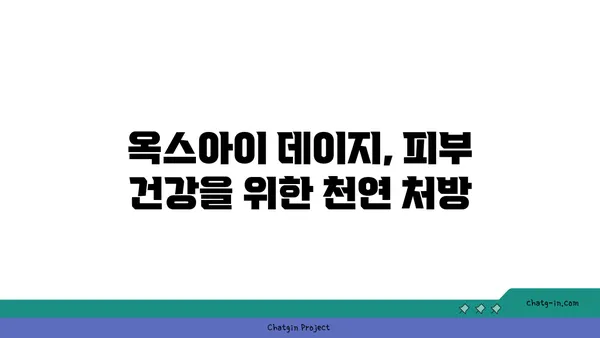 옥스아이 데이지의 놀라운 효능| 건강과 행복을 위한 자연의 선물 | 옥스아이 데이지, 천연 치료, 건강 식품, 자연 요법, 허브