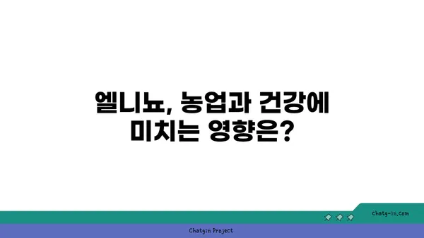 엘니뇨 현상의 영향과 대비 전략| 우리나라에 미치는 영향과 대처 방안 | 기후변화, 이상기온, 엘니뇨 예보