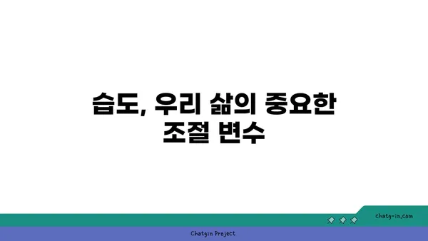 편안함의 온실| 최적 상대습도가 인간에게 미치는 영향 | 쾌적함, 건강, 습도 관리, 실내 환경