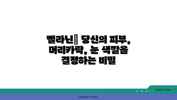 멜라닌의 비밀| 피부색, 머리카락, 눈 색깔의 과학 | 멜라닌, 피부, 색소, 유전, 건강