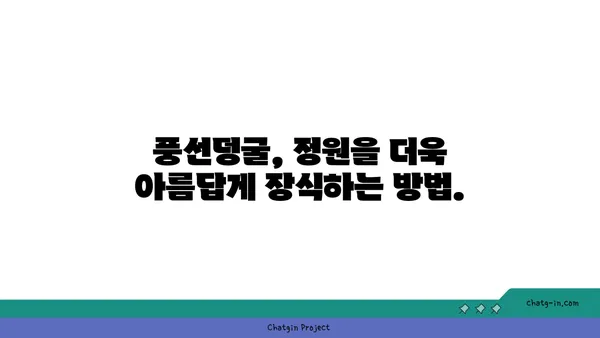 풍선덩굴 키우기 완벽 가이드| 심는 방법부터 관리 팁까지 | 풍선덩굴, 식물 키우기, 정원 가꾸기