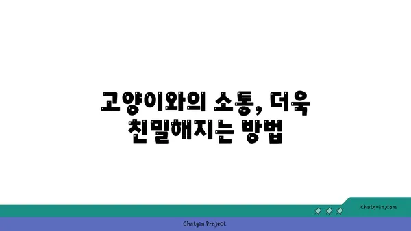 고양이와 행복하게 살아가는 10가지 필수 관리법 | 고양이 키우기, 고양이 관리, 반려묘 팁