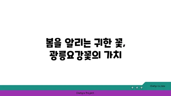 광릉요강꽃의 매력에 빠지다| 멸종위기종, 아름다움과 보존의 가치 | 야생화, 희귀식물, 자생식물, 생태 보존