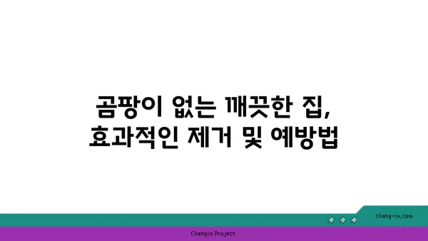 깨끗한 집의 비밀| 좀을 쫓아내는 7가지 기술 | 벌레퇴치, 집 청소, 살균, 곰팡이 제거