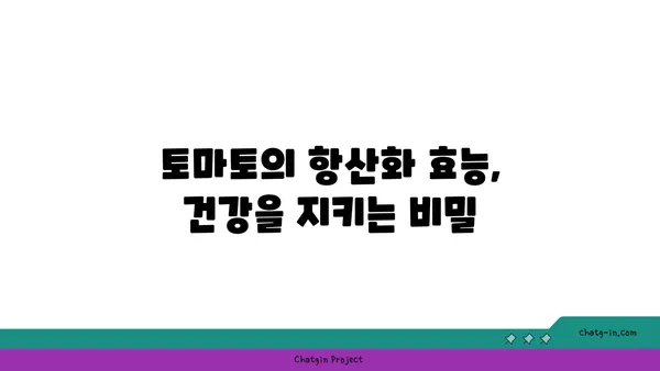 토마토의 놀라운 암 예방 효과| 7가지 연구 결과 & 섭취 방법 | 암 예방 식단, 항산화 효능, 건강 식품