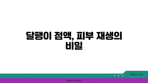 달팽이 크림, 피부에 어떤 효과를 줄까요? | 달팽이 점액, 피부 재생, 탄력, 미백, 트러블 완화