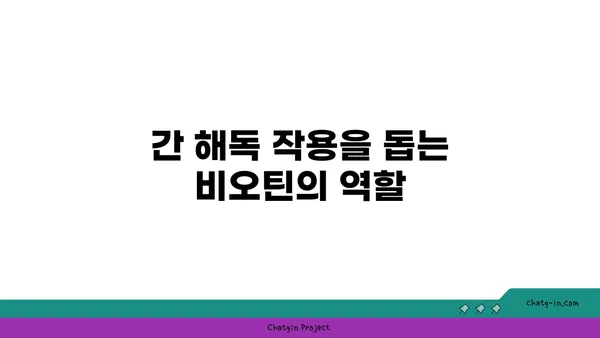 비오틴이 간 건강을 향상시키는 5가지 방법 | 간 건강, 비오틴 효능, 영양제, 건강 관리