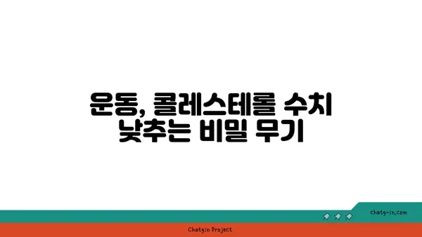 콜레스테롤 수치 낮추는 완벽 가이드| 저위험 인자 관리부터 식단 & 운동 | 건강, 고지혈증, 심혈관 질환 예방