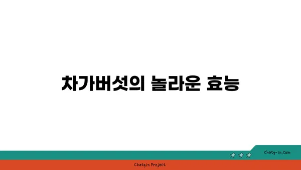 차가버섯 효능과 부작용 완벽 가이드 | 차가버섯, 건강, 면역력, 항암 효과, 주의 사항