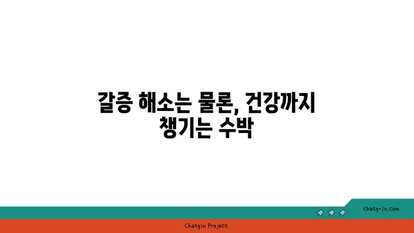 수박의 놀라운 건강 효능| 7가지 이유 | 수박 효능, 건강, 여름 과일, 항산화