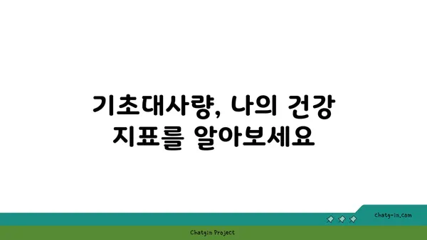 나의 기초대사량 계산 & 증진 방법| 체중 감량, 건강 관리의 시작 | 기초대사량 계산, 기초대사량 높이기, 체중 감량, 건강 관리