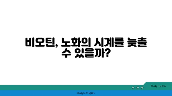 비오틴이 노화 방지에 미치는 영향| 핵심 정보와 효과적인 섭취 방법 | 비타민 B7, 노화, 건강, 섭취 팁, 영양