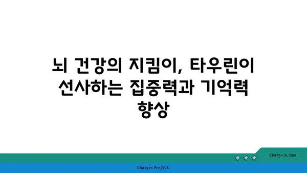 타우린이 우리 몸에 미치는 놀라운 영향| 건강, 운동, 그리고 뇌 기능 | 타우린 효능, 건강 정보, 운동 보충제, 뇌 기능 개선