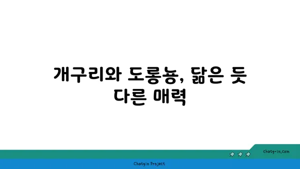 양서류의 놀라운 변태 과정| 개구리, 도롱뇽, 그리고 그들의 신비로운 삶 | 양서류, 변태, 생태, 동물