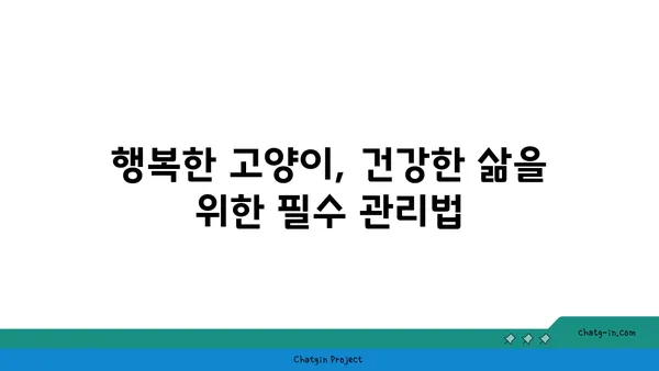 고양이와 행복하게 살아가는 10가지 필수 관리법 | 고양이 키우기, 고양이 관리, 반려묘 팁