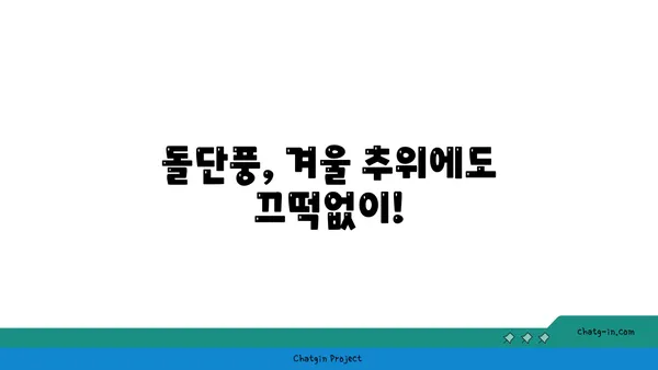 돌단풍 키우기 완벽 가이드| 삽목부터 겨울나기까지 | 돌단풍, 재배, 번식, 관리, 겨울 월동