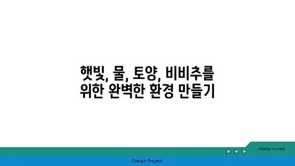 비비추 꽃, 봄 정원을 물들이는 매력적인 식물 | 비비추, 봄꽃, 정원, 식물, 관리 팁, 종류