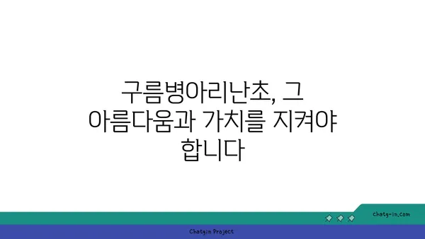 구름병아리난초의 매력에 빠지다| 아름다움과 희귀성을 간직한 야생화 | 멸종위기종, 난초과, 한국 자생식물, 식물 정보