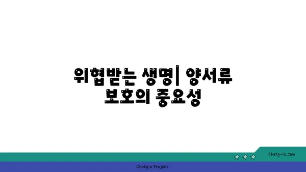 양서류의 놀라운 변태 과정| 개구리, 도롱뇽, 그리고 그들의 신비로운 삶 | 양서류, 변태, 생태, 동물