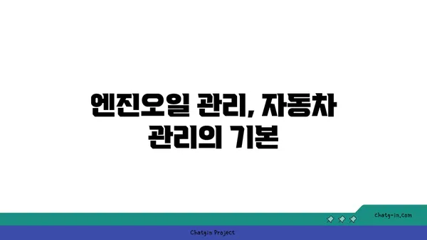 차량 의존도를 높이는 필수 점검! 엔진오일 관리의 중요성 | 자동차 관리, 엔진 수명, 연비 향상