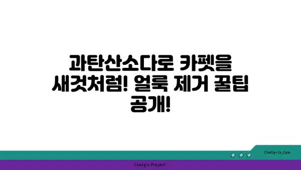 과탄산소다로 카펫 얼룩 제거하는 꿀팁| 효과적인 처리 방법 | 카펫 청소, 얼룩 제거, 천연 세제