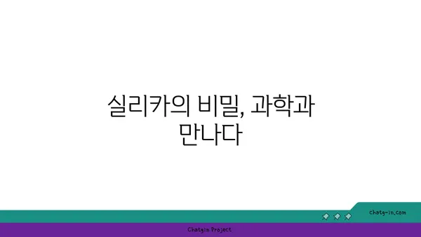 실리카의 비밀| 산업, 응용, 그리고 미래 | 실리카, 규산, 산업, 소재, 응용, 미래