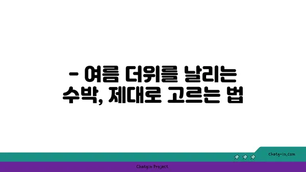 시원한 여름 제철 과일, 수박의 모든 것 | 수박 효능, 수박 고르는 법, 수박 레시피