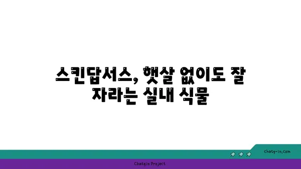 스킨답서스 키우기 완벽 가이드 |  실내 식물, 관리법, 번식, 종류