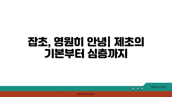 잡초 제거 완벽 가이드| 효과적인 방법 & 꿀팁 | 잡초, 제초, 정원 관리, 잔디밭, 텃밭